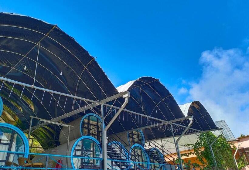 اتاق لوکس, Cameron Highlands Blueberry Earth House