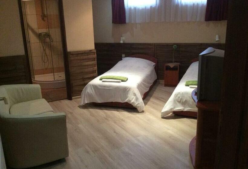 غرفة قياسية, Abszolút Hotel és Panzió
