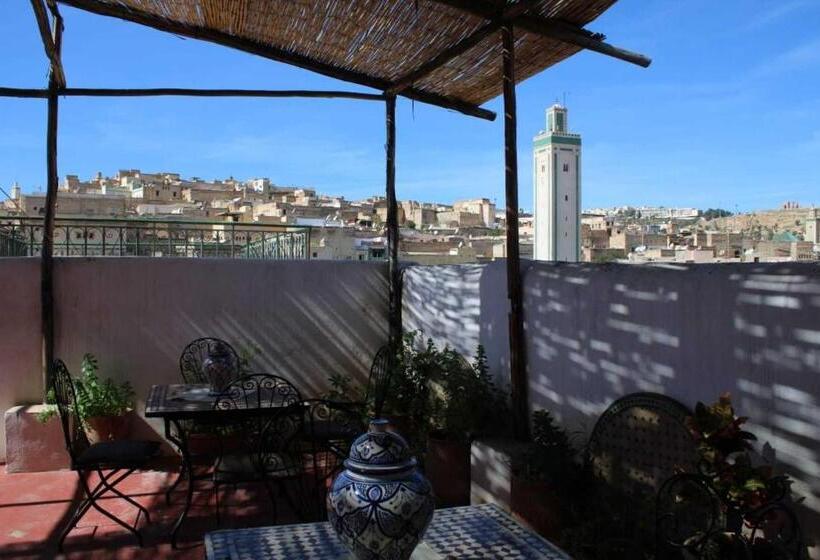 اتاق لوکس, Hostel Rcif