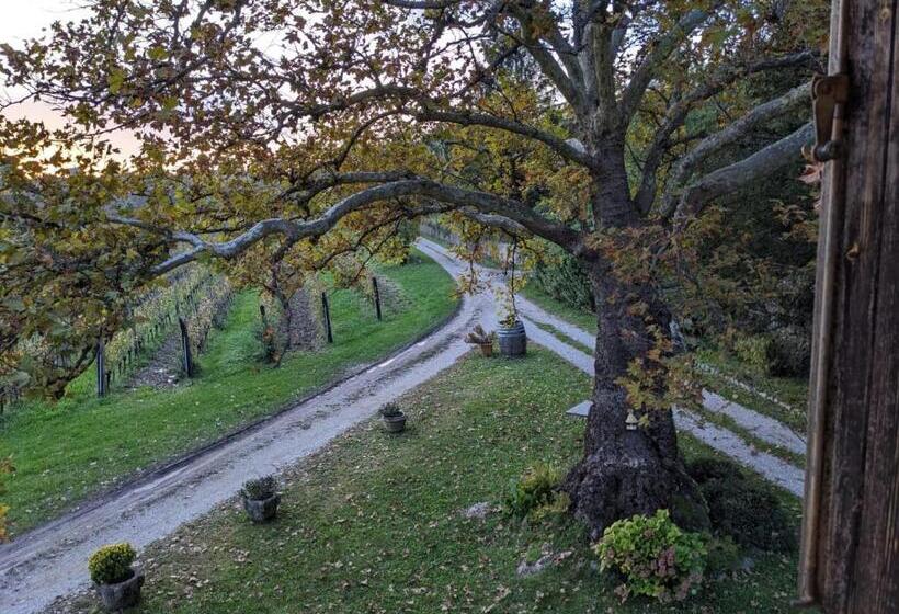 ویلای 1 خوابه با چشم‌انداز باغ, Castel San Mauro