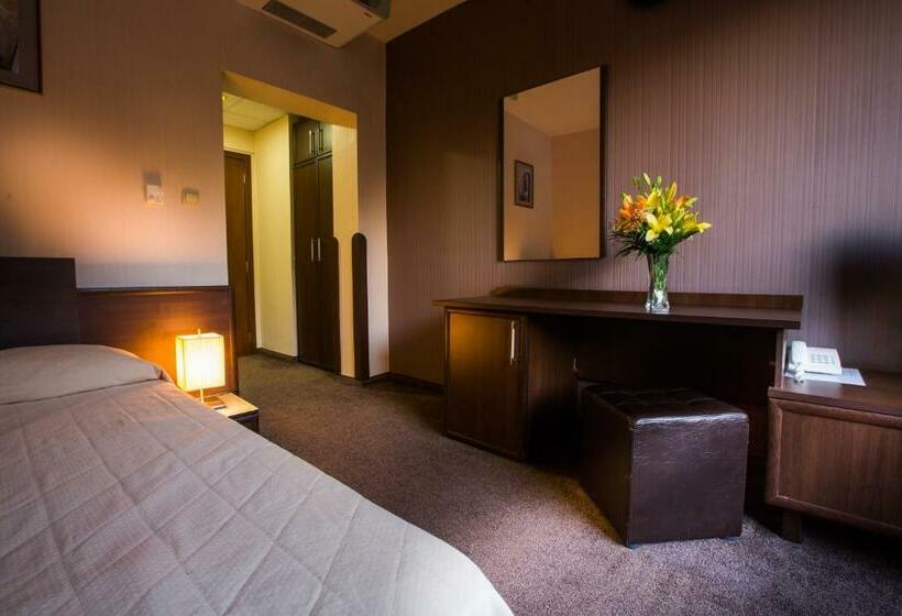 スタンダードシングルルーム, Hemus Hotel   Vratza