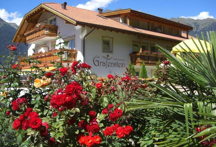 标准间带阳台, Adults Only Hotel Grafenstein