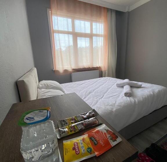 اتاق استاندارد با چشم‌انداز باغ, Airportforestroom