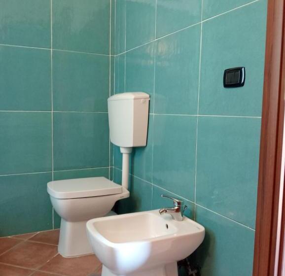 Номер Стандарт, Tenuta Frontini