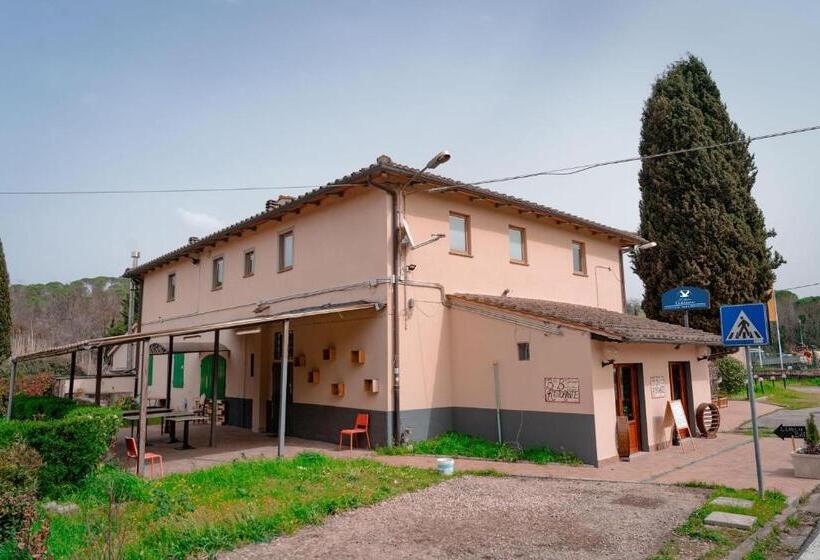 Номер Стандарт, L’ Antico Gabbiano