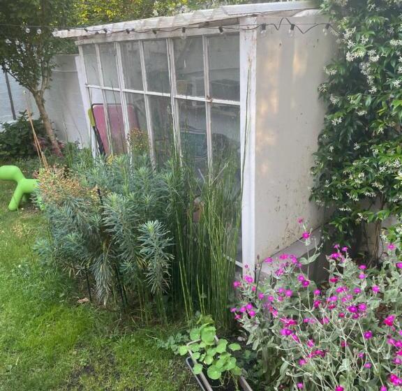 Номер Стандарт Вид на Сад, Guest Room In A Green Setting