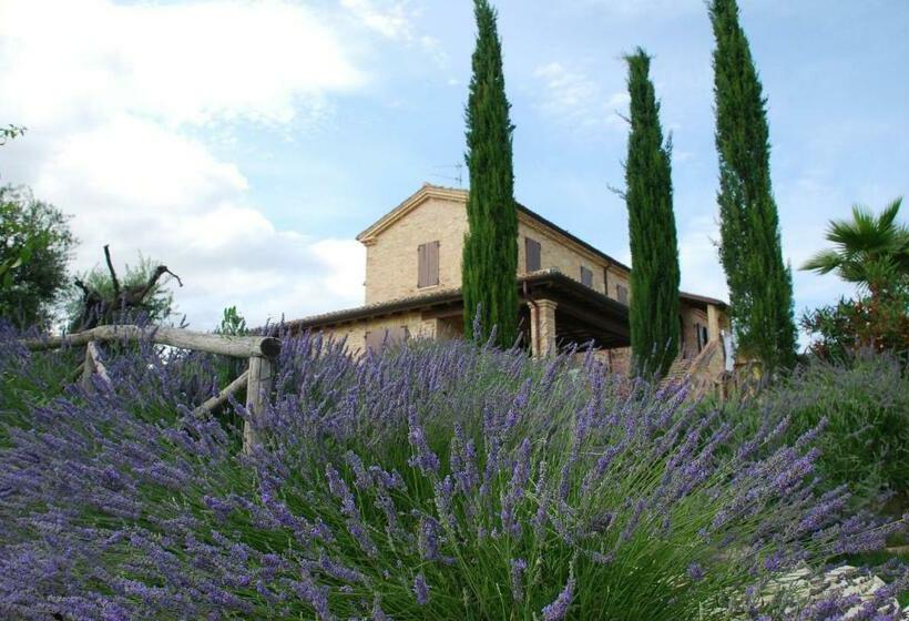 Номер Стандарт, Agriturismo Tenuta Sol Alto