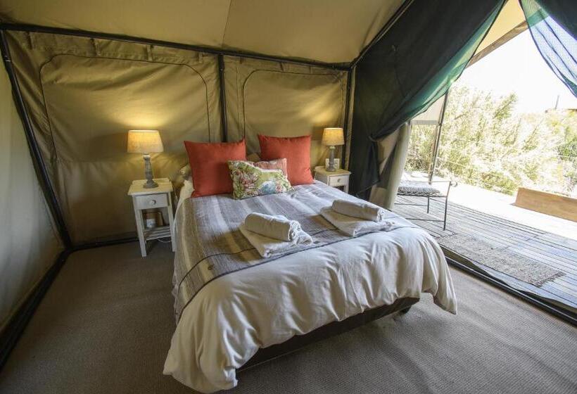 Standard Tent, Le Petit Karoo Ranch