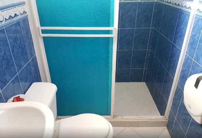 Quarto Estandar, El Delfin