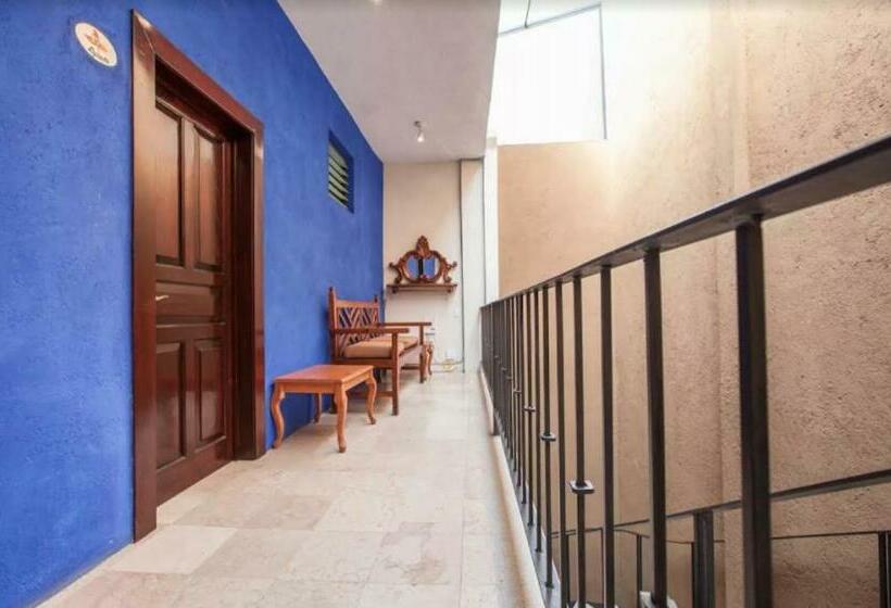 חדר סטנדרט, Orchidelirium Casa Hotel & Salud Estética