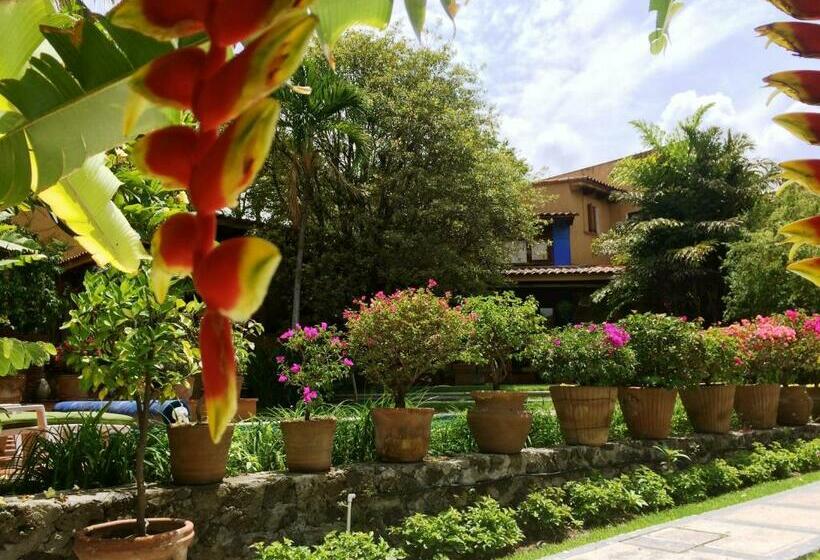חדר סטנדרט, Orchidelirium Casa Hotel & Salud Estética