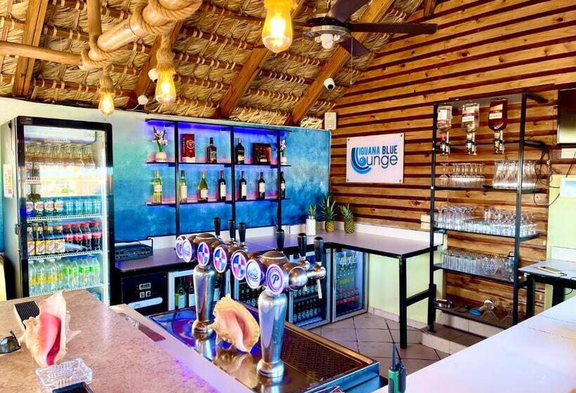 베이직 3인 룸, Villa Iguana