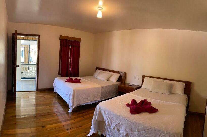 Номер Стандарт, Coral View Beach Resort