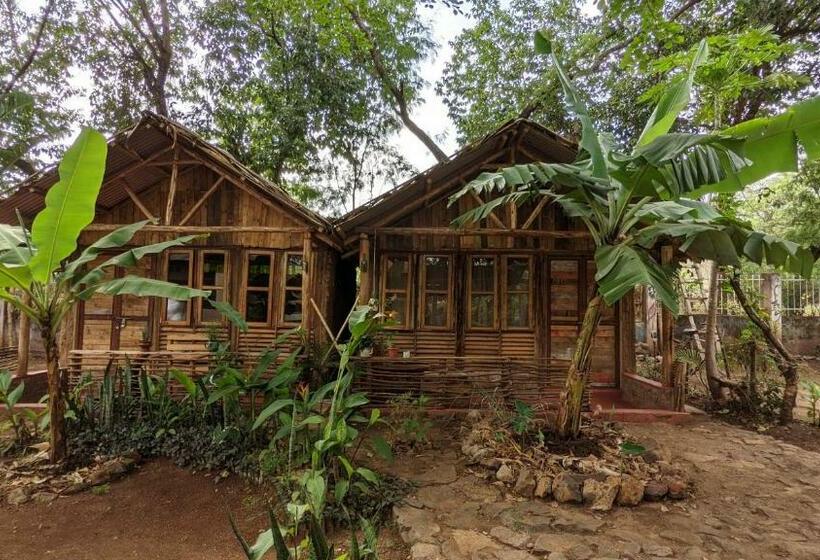 اتاق لوکس, Backyard Hostel