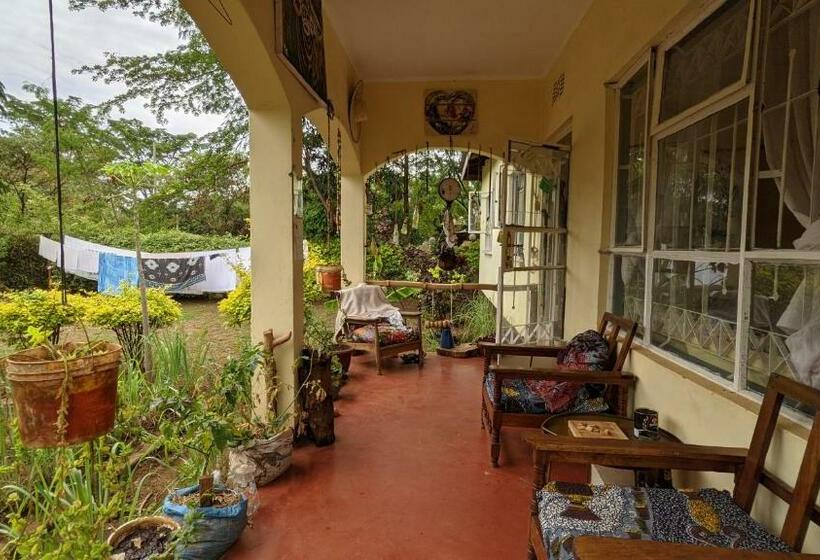 اتاق لوکس, Backyard Hostel