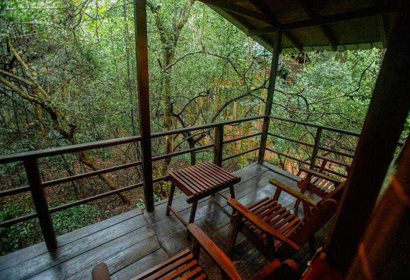 اتاق لوکس با بالکن, Inn On The Tree Eco Resort Sigiriya