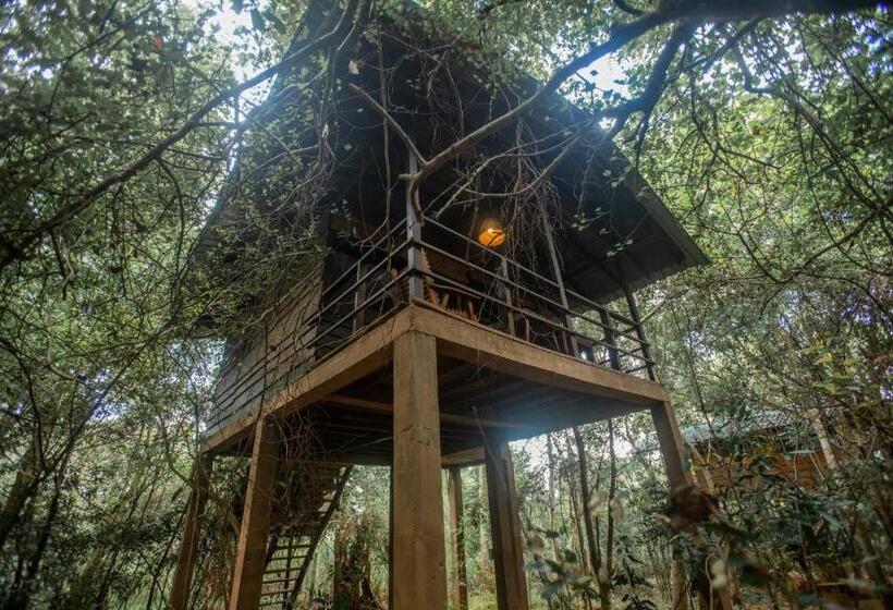 سوییت خانوادگی, Inn On The Tree Eco Resort Sigiriya