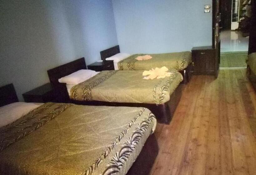تختخواب در اتاق مشترک, Freedom Hostel