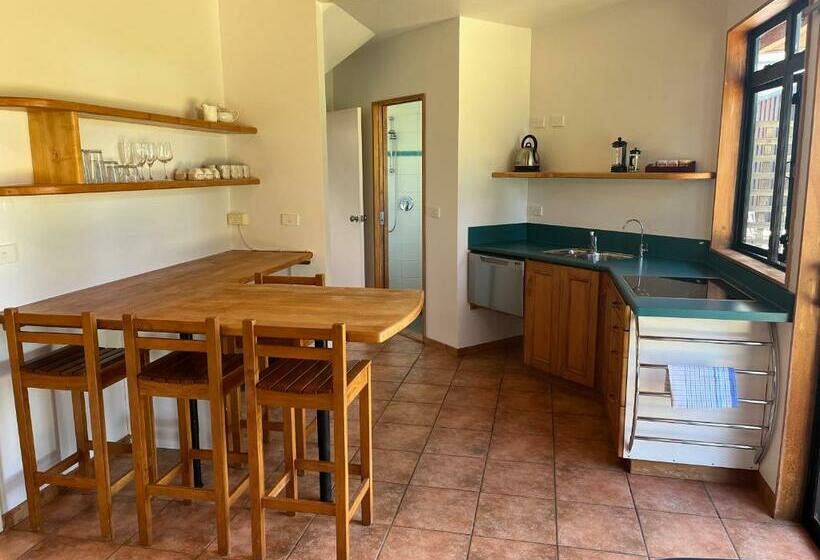 Апартаменты 1 Спальня Вид на Море, Summerspring Beachfront Accommodation