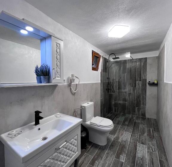 Вилла 1 Спальня, Casa Coltea