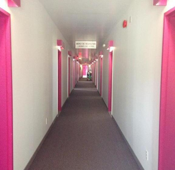 ベーシックルーム, Motel Econonuit