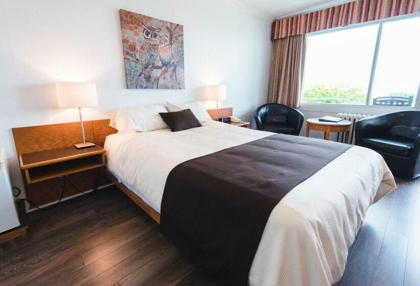 Quarto Estandar, Auberge Le Parasol