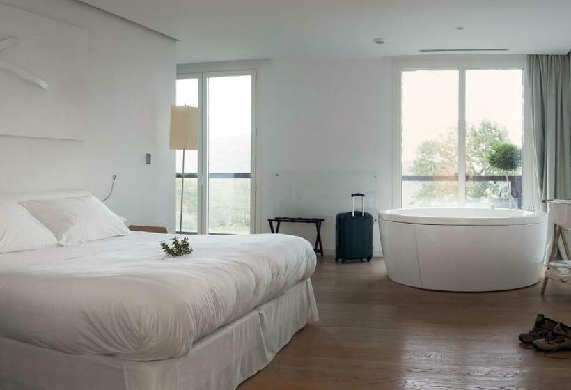 マウンテンビューデラックスルーム, Arantza Hotela  Adults Only