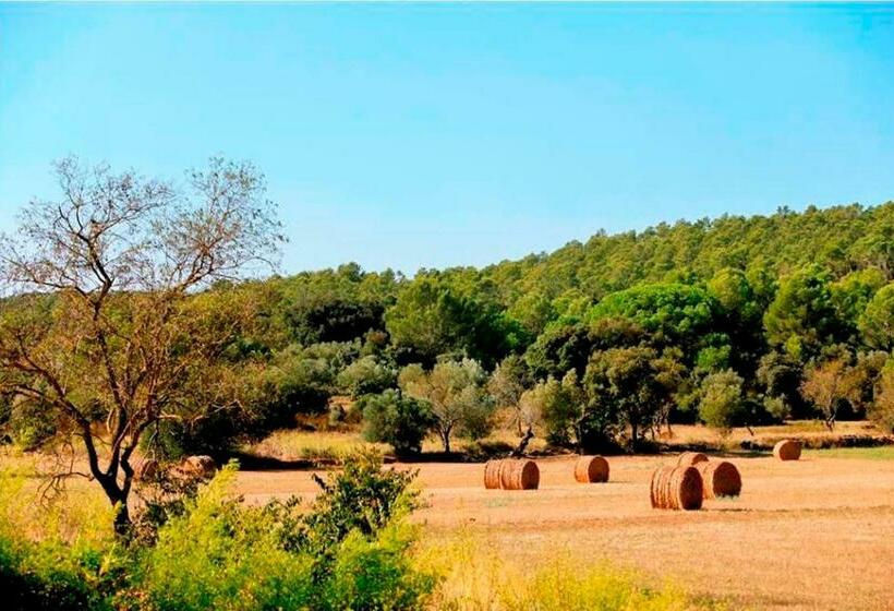 Номер Superior, Can Barrull Costa Brava Emporda