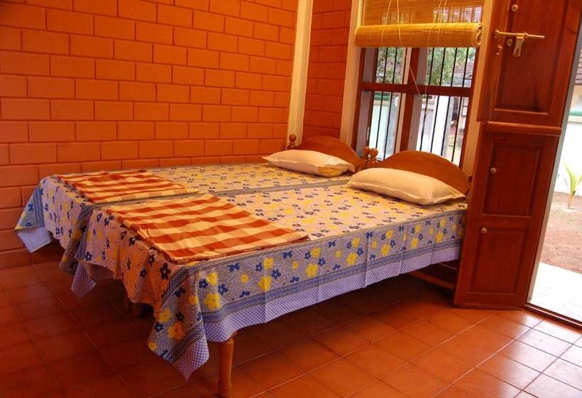 Quarto Estandar, Dazzle Dew