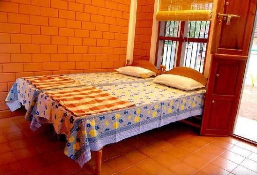 Quarto Deluxe, Dazzle Dew