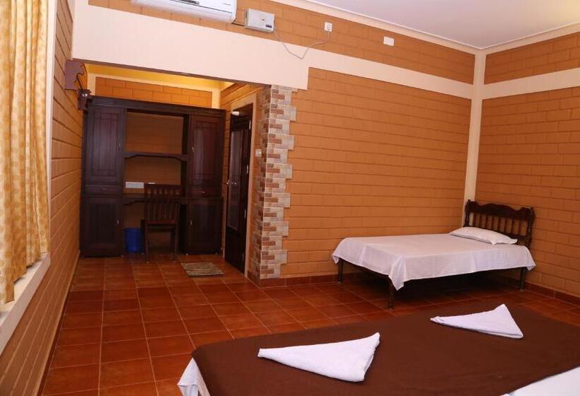 Quarto Deluxe, Dazzle Dew