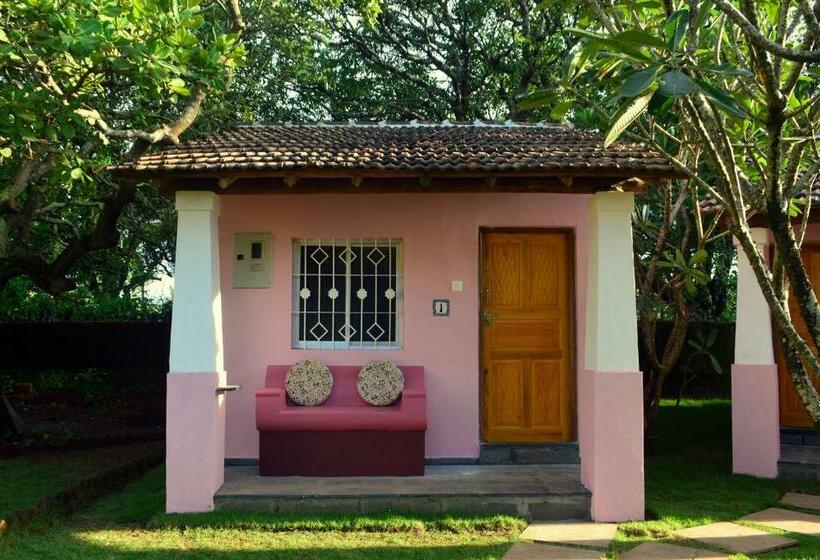 Bungalow Standard, Avalon Inn