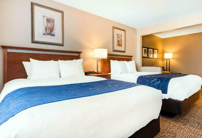 Люкс Адаптированный для Инвалидов, Comfort Suites Normal University Area