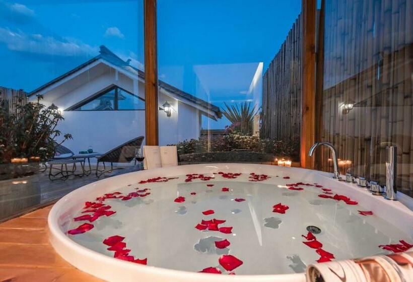 اتاق لوکس, Shang Shan Ruo Shui 大理上山若水客栈