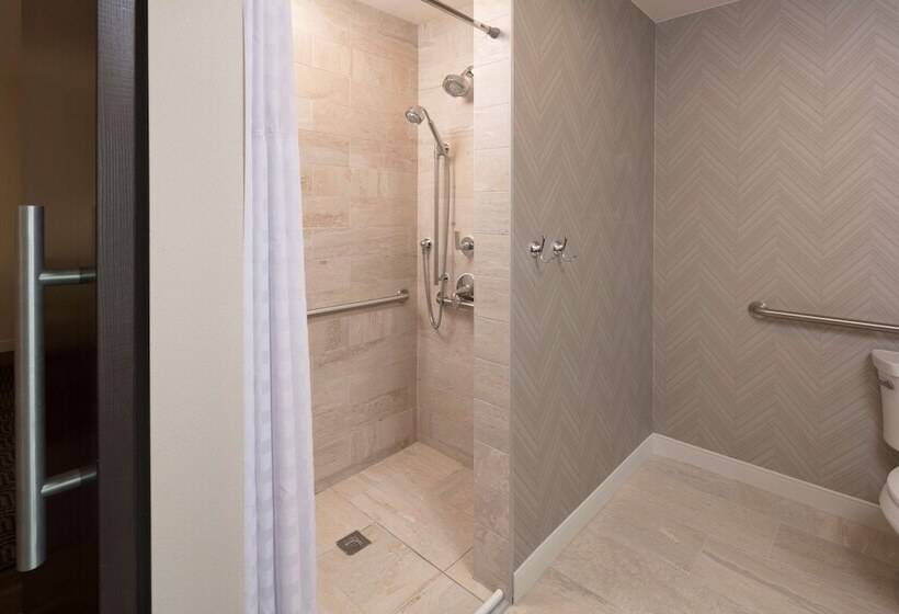 프리미엄 스위트, Embassy Suites By Hilton Amarillo Downtown