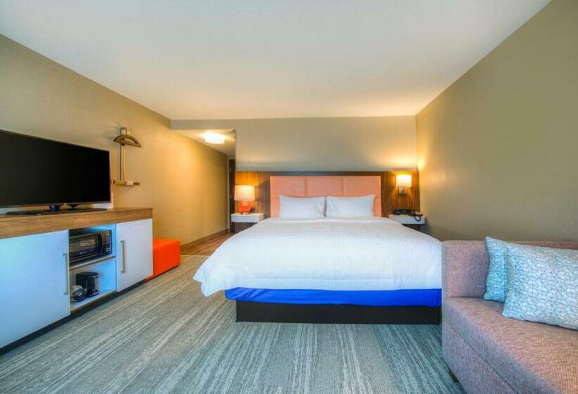 带大床的标准间, Hampton Inn & Suites Wixom