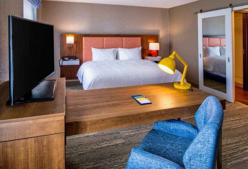 带双人大床的行政管理套房, Hampton Inn & Suites Wixom