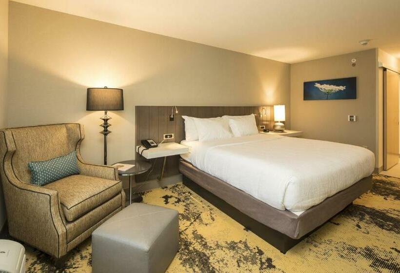Стандартный Номер Кровать Кинг, Hilton Garden Inn Pittsburgh Airport