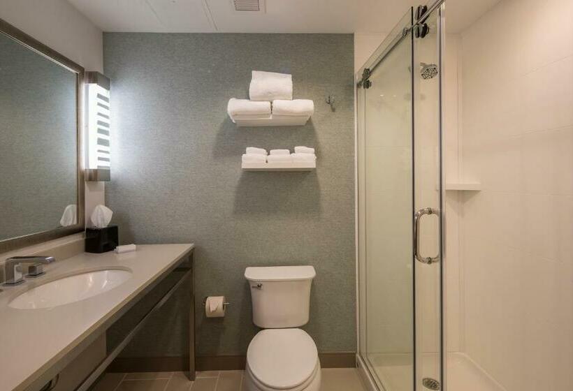 Стандартный Номер Кровать Кинг, Hilton Garden Inn Pittsburgh Airport