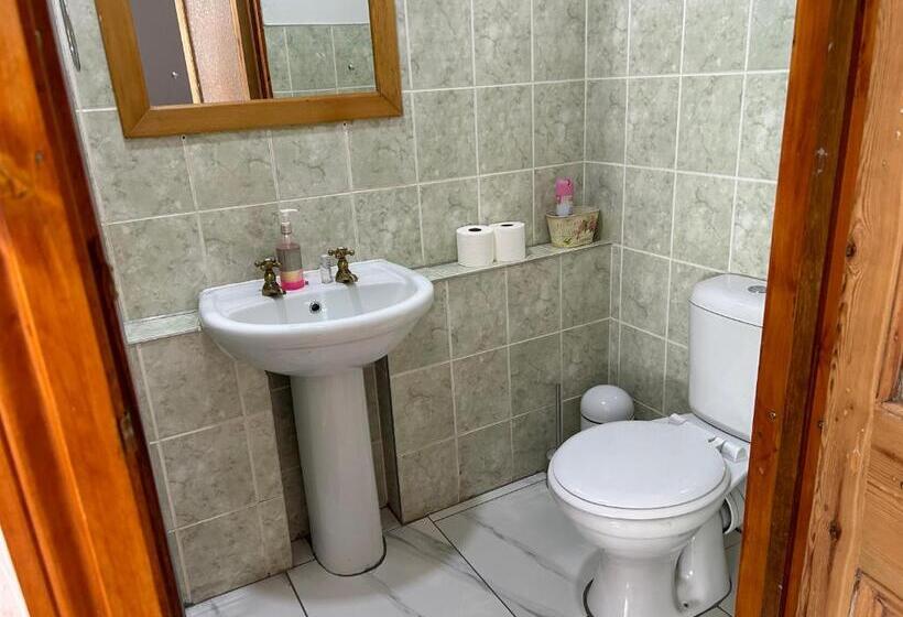 Студия Стандарт, The Solomon Guest House