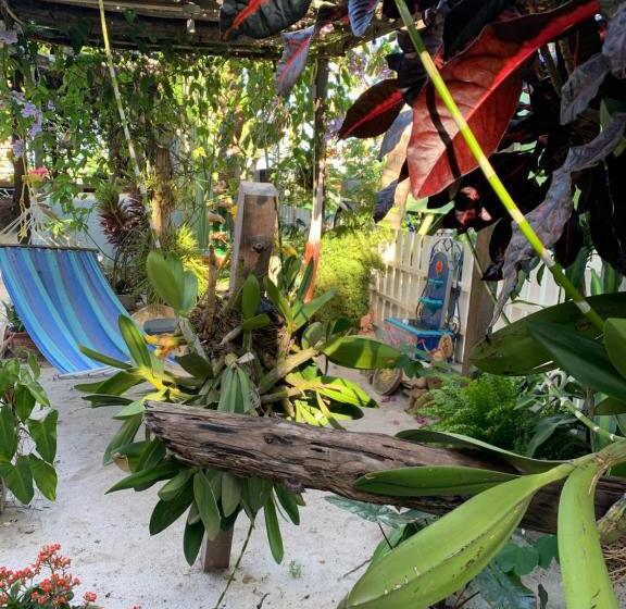 デラックスルーム, All Seasons Belize