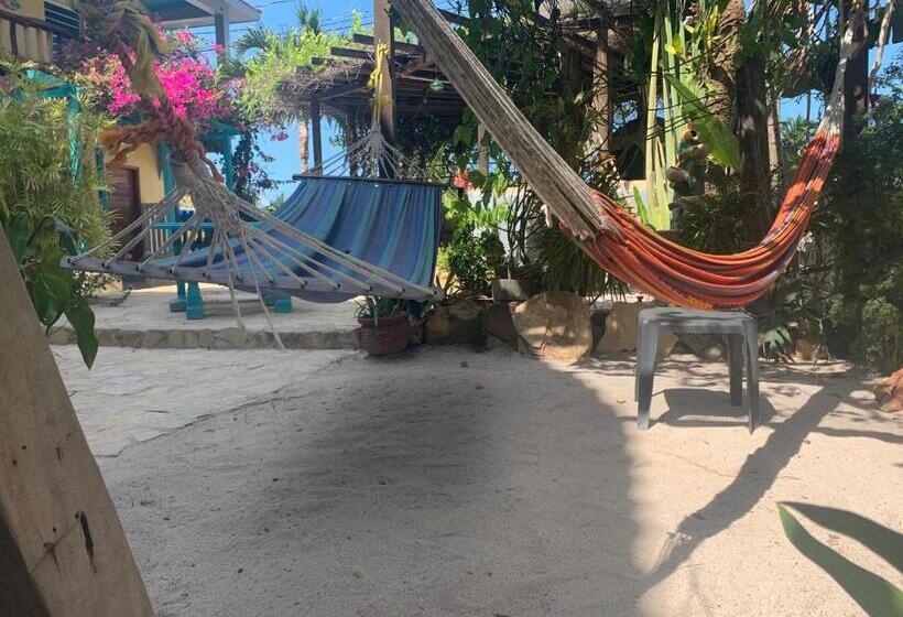 デラックスルーム, All Seasons Belize