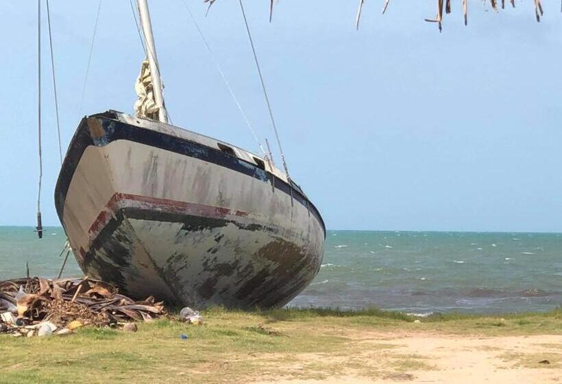 オーシャンビューデラックスルーム, All Seasons Belize
