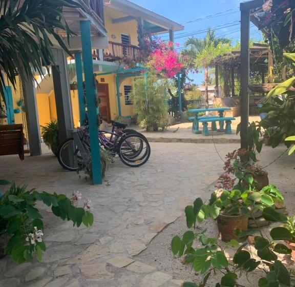 オーシャンビューデラックスルーム, All Seasons Belize