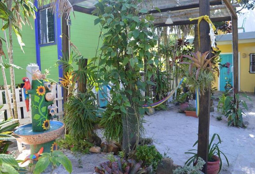 オーシャンビューデラックスルーム, All Seasons Belize