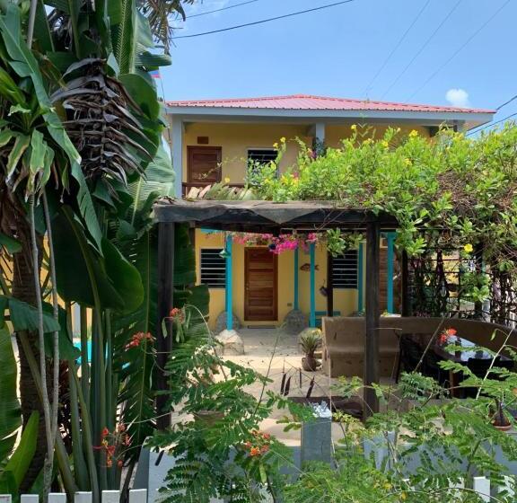 デラックスルーム, All Seasons Belize