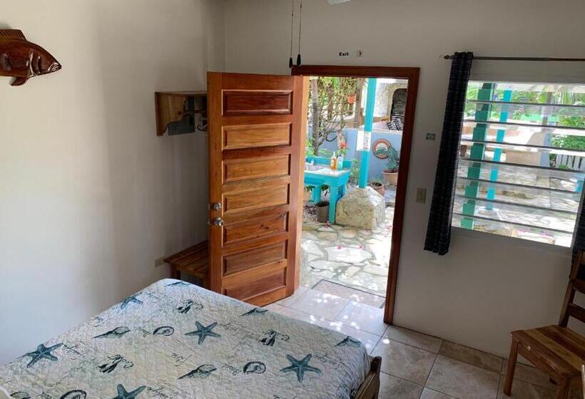 デラックスルーム, All Seasons Belize