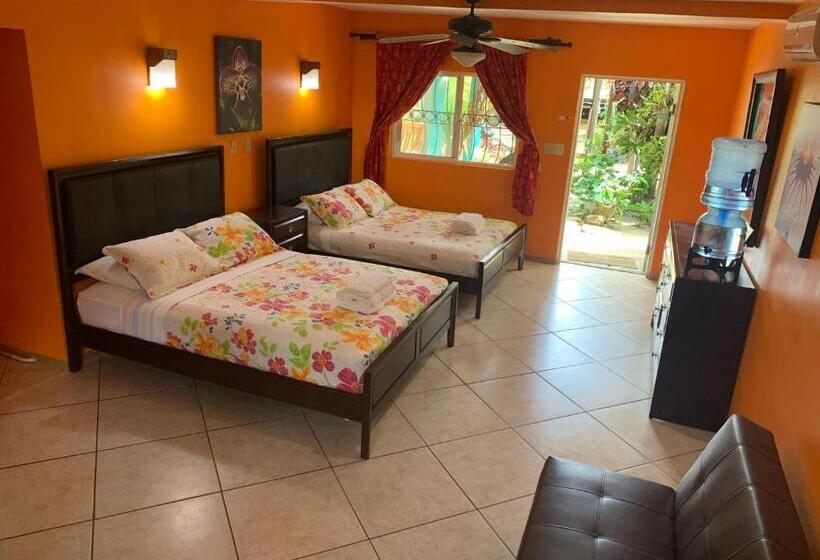 Номер Стандарт Вид на Сад, All Seasons Belize