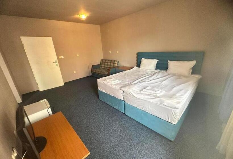 Номер Стандарт, Lozenets Resort
