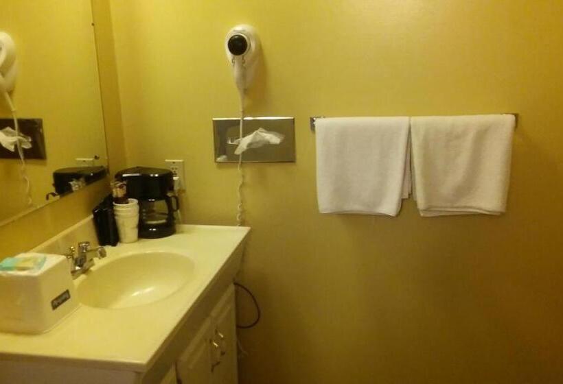 Номер Deluxe Одноместный, Budget Inn Sterling
